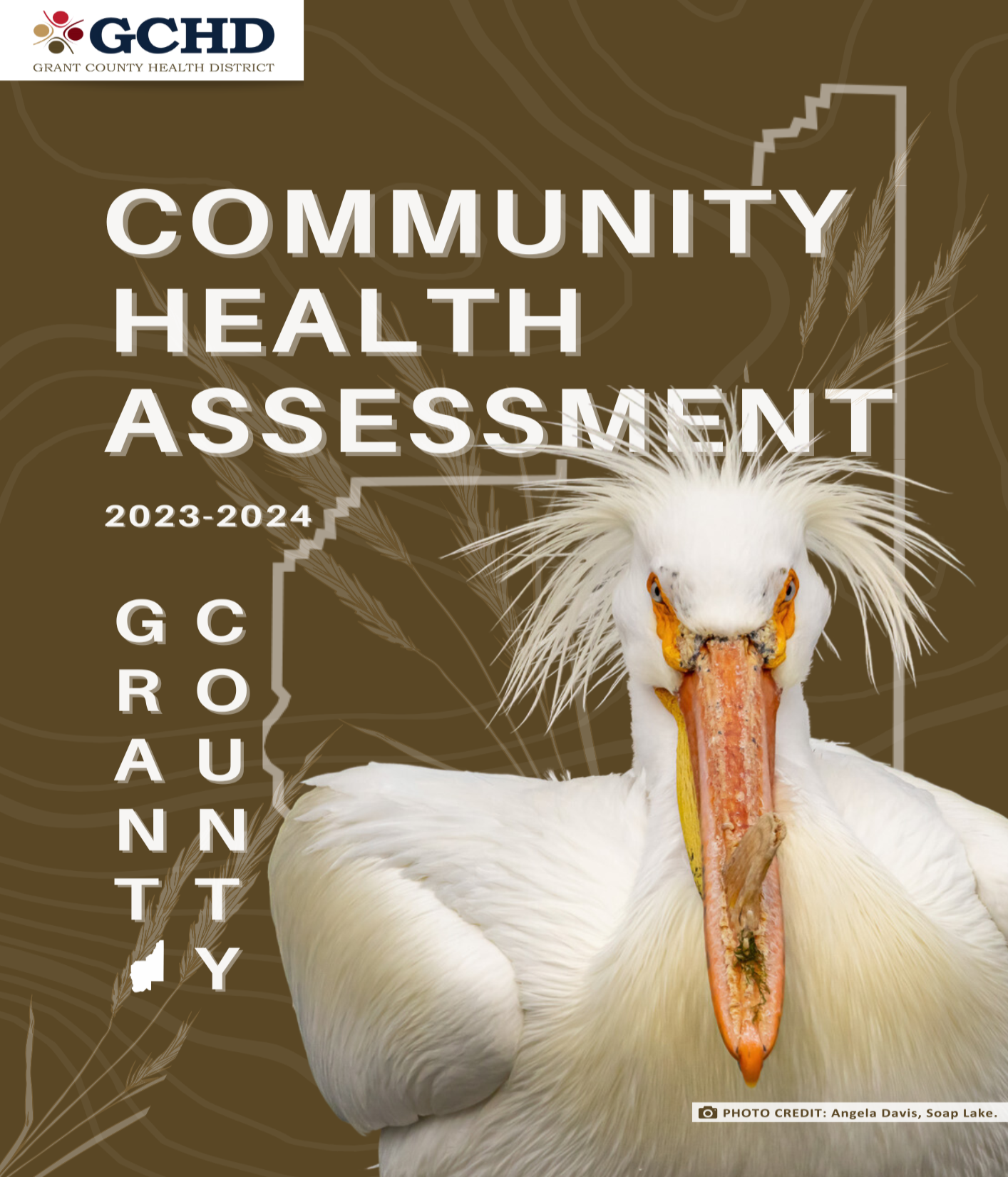Front page of GCHD Community Health Assessment